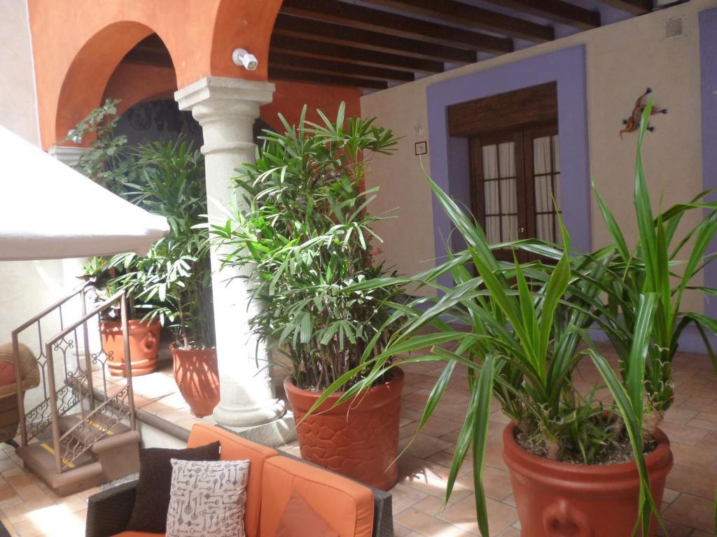 Hotel Trebol Oaxaca Номер фото