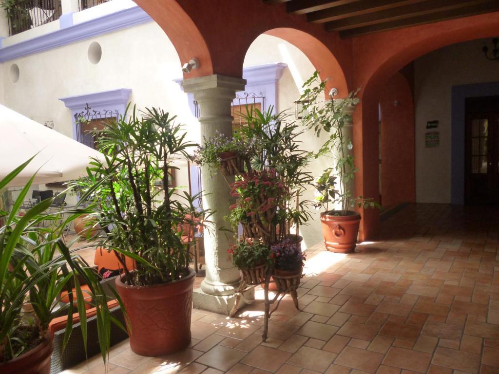 Hotel Trebol Oaxaca Номер фото